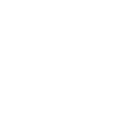 Кабель силовой ВОКЗ, ВВГп-нг(А), 2 х 1,5мм?, PVC, цвет: чёрный