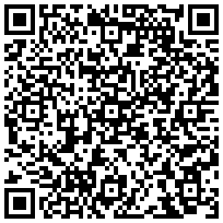 Купить Фальш-панель Zpas, перфорированная, 1HU, цвет: чёрный WZ-SB00-51-01-161 - цена 799.00 р.