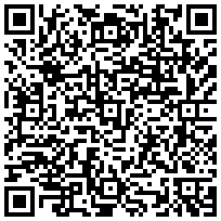 Купить Панель телефонная TWT, 19, 1HU, 25х RJ45, цвет: чёрный TWT-PP25TEL45 - цена 4170.00 р.