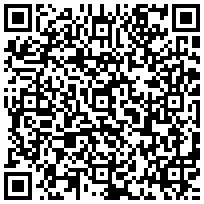 Купить Цоколь (для шкафа) Elbox EMS, 800х100х500 (ШхВхГ), цвет: серый EMS-S-800.500.100 - цена 2900.00 р.