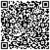 Купить Стенка (к шкафу) Elbox EMS, 500х2000 мм, цвет: серый EMS-W-2000.x.500 - цена 8400.00 р.