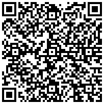 Купить Перегородка (к шкафу) Elbox EMS, 1600х400 (ВхШ) EMS-P-1600.x.400 - цена 2500.00 р.