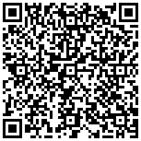 Купить Заземление Zpas, 400 мм, для шкафов SZE WZ-5554-01-18-000 - цена 230.00 р.