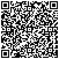 Купить Кабельный органайзер Zpas, 19, 2HU, без колец, цвет: серый WZ-SB56-00-00-011 - цена 1070.00 р.