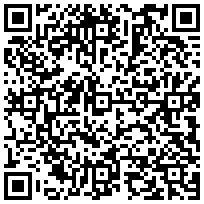 Купить Кусачки DKC, для проволочных лотков, сталь FC37040 - цена 2652.00 р.