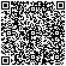 Полка перфорированная 19