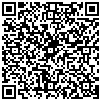 Купить Цоколь (для шкафа) Elbox EMS, 1200х200х800 (ШхВхГ), цвет: серый EMS-S-1200.800.200 - цена 4900.00 р.