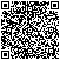 Купить Фальш-панель Zpas, перфорированная, 1HU, сталь, цвет: серый WZ-SB00-51-01-011 - цена 662.00 р.
