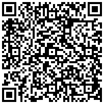 Купить Кабель заземления Zpas, 5 кабелей, для шкафов, цвет: зеленый WZ-SB12-00-02-000 - цена 1180.00 р.