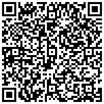 Купить Миниколонна двухсторонняя DKC, L=350 мм 19532 - цена 5207.00 р.