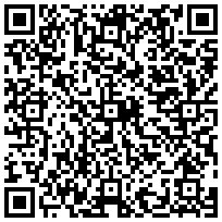 Купить Скалыватель оптических волокон CI-03B CI-03B - цена 44180.00 р.