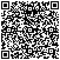 Купить Шина заземления Zpas, медная, 620 мм WZ-1610-05-01-000 - цена 1570.00 р.