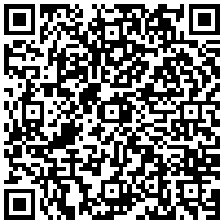 Купить Держатель с защелкой DKC, ППЛ, D32 мм, цвет серый 51032 - цена 5.00 р.